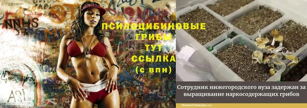 MDMA Premium VHQ Белоозёрский